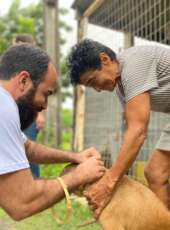 Secretaria da Proteção Animal do Ceará distribui coleiras antiparasitárias em animais em situação de abandono na UFC