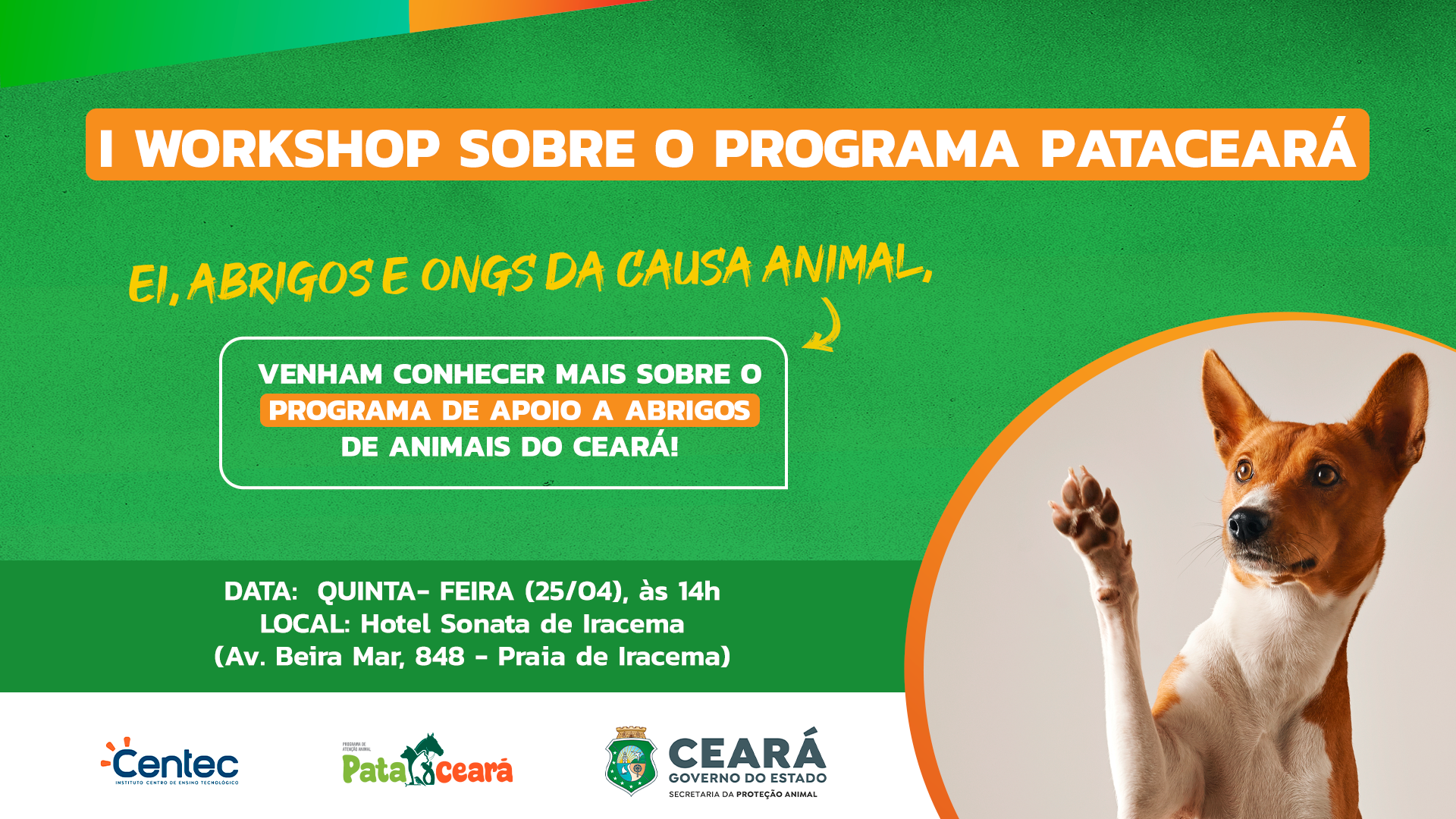 Secretaria da Proteção Animal do Ceará promove I Workshop sobre o PataCeará; entenda