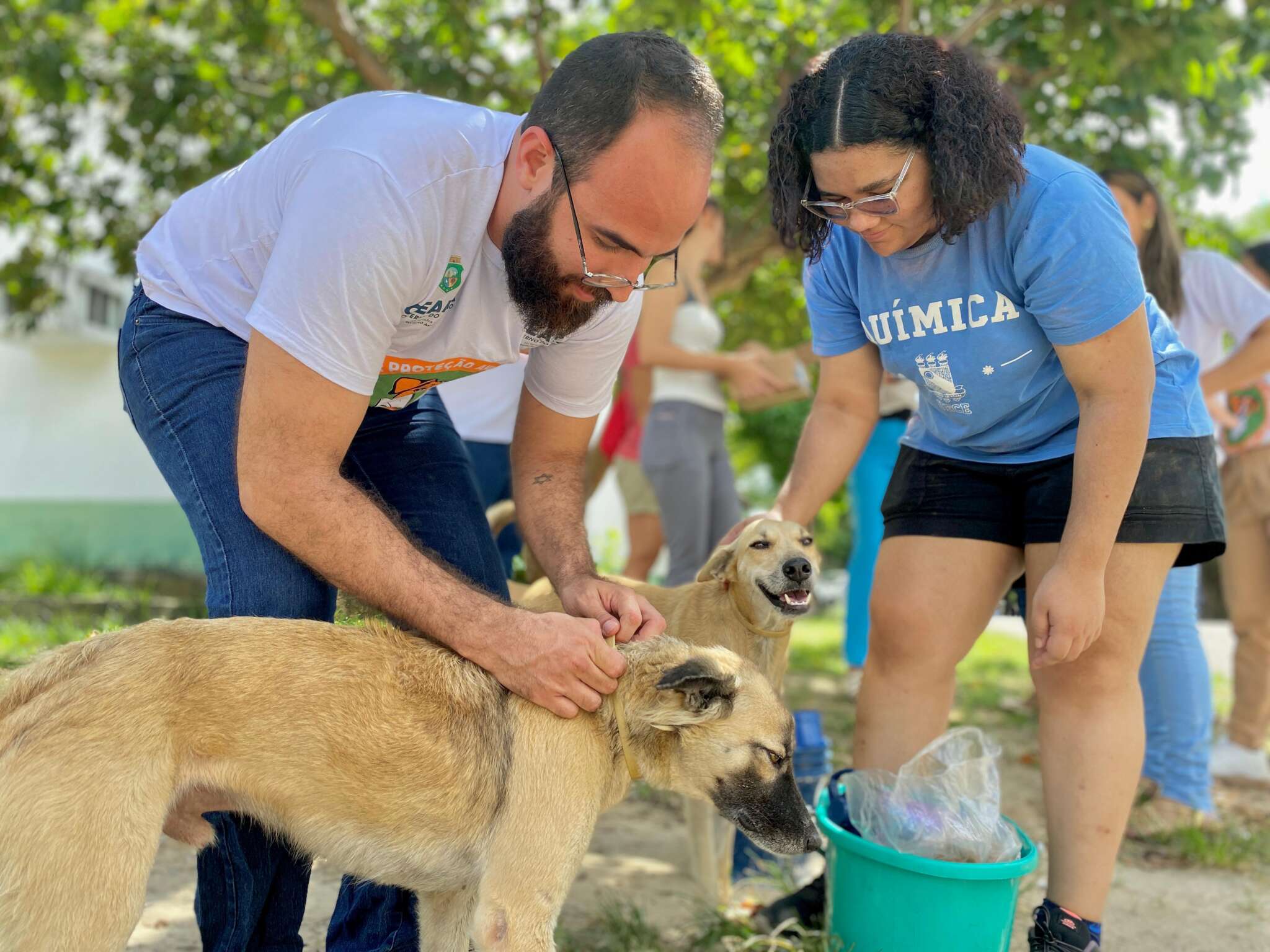 Sepa realiza ação de encoleiramento antiparasitário em cachorros no campus Itaperi, da Uece