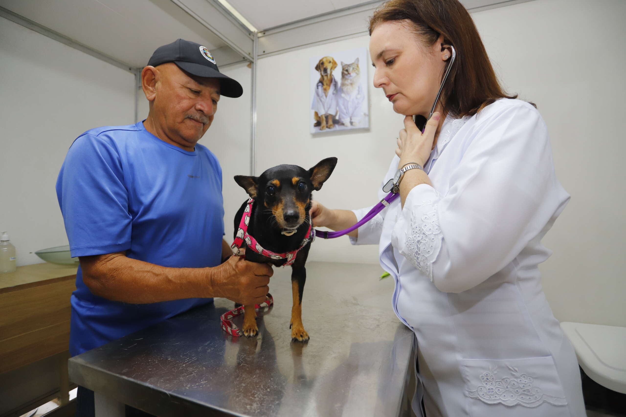 Governo do Ceará amplia atendimento animal com novo edital do VET+ Ceará para credenciamento de clínicas veterinárias