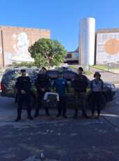 Secretaria da Proteção Animal resgata macaco-prego no bairro Bom Sucesso