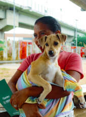 Giro Pet Ceará leva assistência veterinária para o Litoral Norte