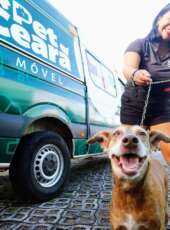 Pet Ceará Móvel atinge marca de 2 mil castrações em duas semanas após ampliação