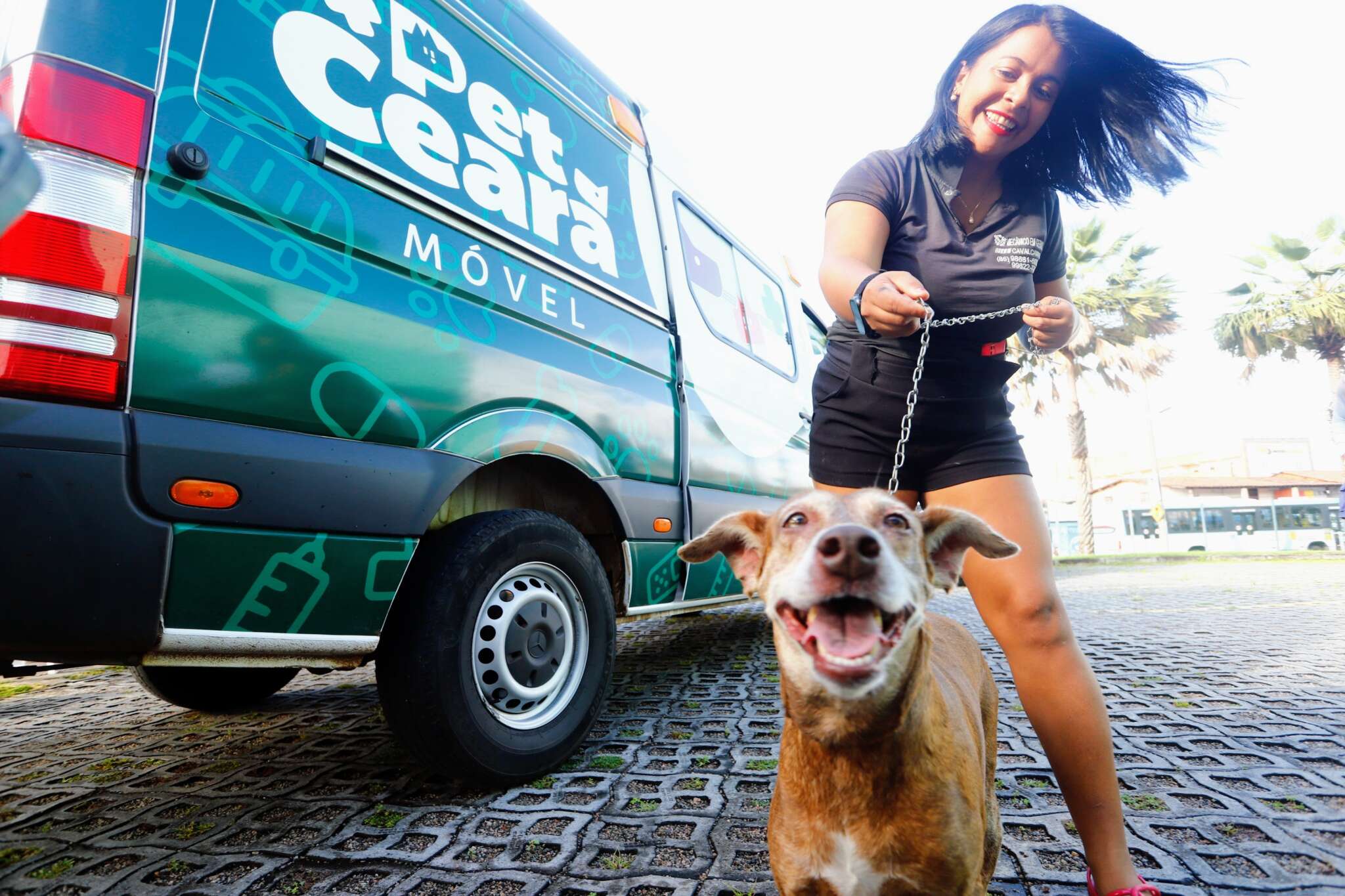 Pet Ceará Móvel atinge marca de 2 mil castrações em duas semanas após ampliação