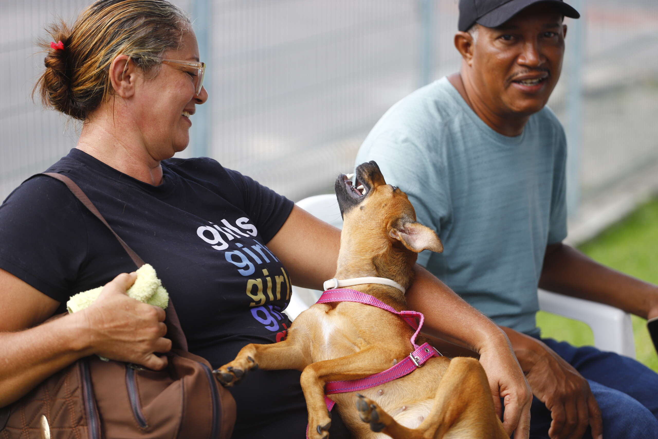 Pet Ceará Móvel realiza mais de mil castrações na primeira semana após ampliação