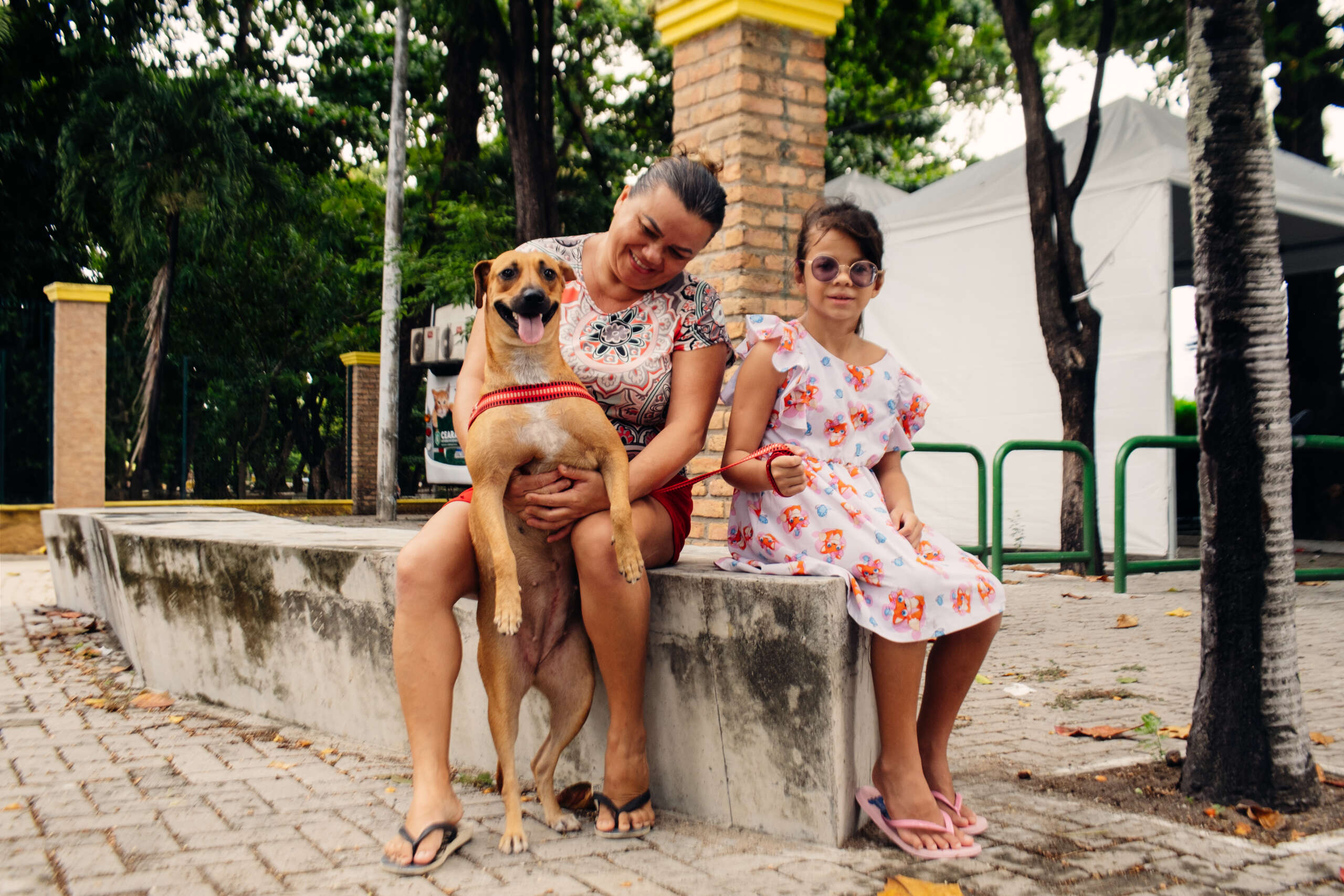 Pet Ceará Móvel funciona neste feriado; confira horários
