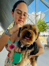 Pet Ceará Móvel chega à Serra da Ibiapaba; agendamento já está disponível