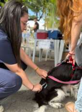 Giro Pet Ceará leva encoleiramento antiparasitário e vacinação antirrábica para região do Sertão de Sobral