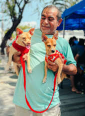 Giro Pet Ceará oferece serviços gratuitos para animais na Cidade 2000, em Fortaleza